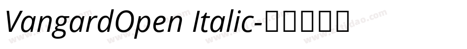 VangardOpen Italic字体转换